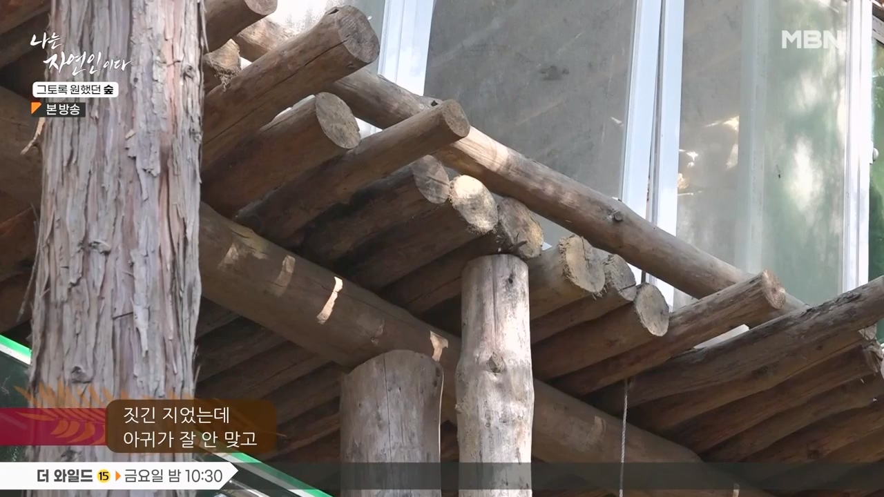 나는 자연인이다.E591.240132p-NEXT.mp4_20240201_195739.193.jpg