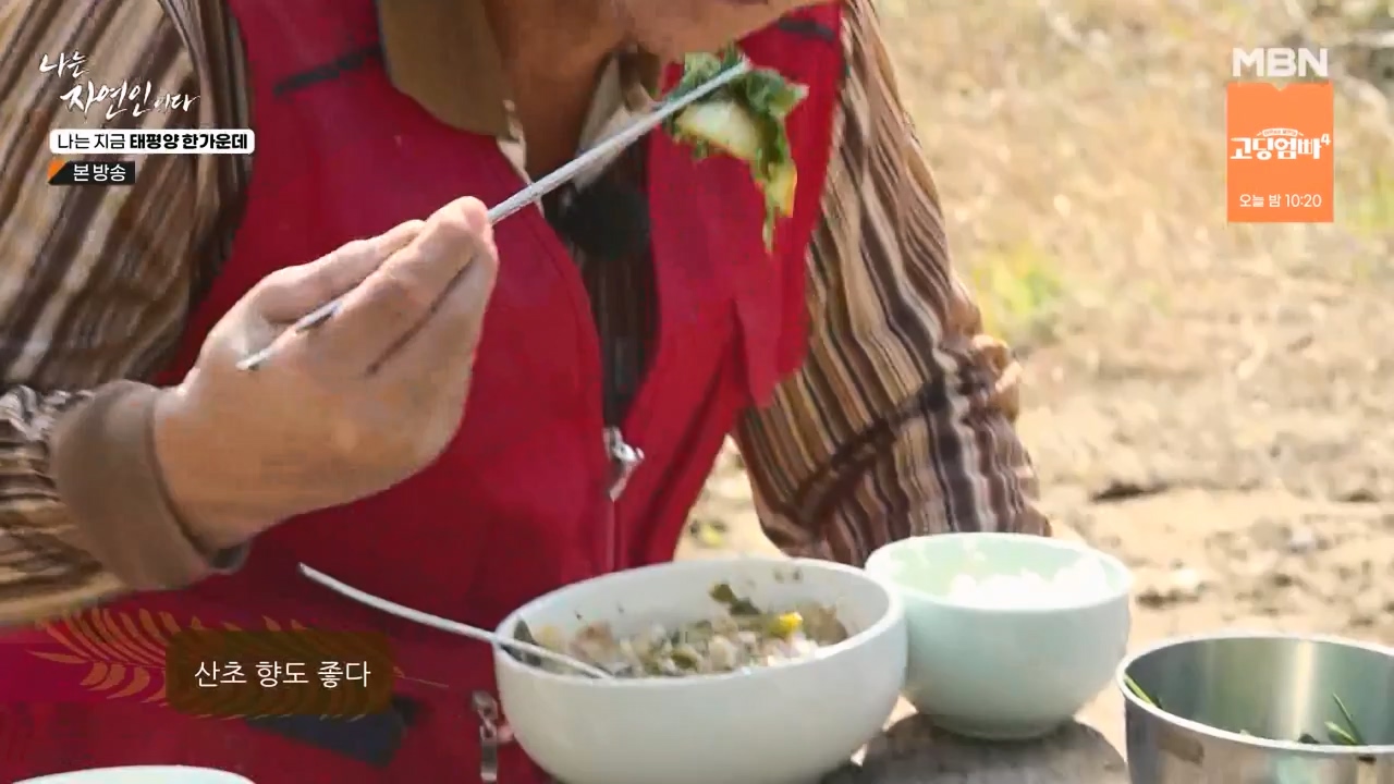 나는 자연인이다.E581.231123p-NEXT.mp4_20231123_200717.911.jpg