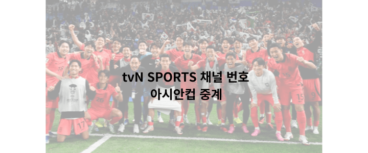 tvn-sports-채널번호