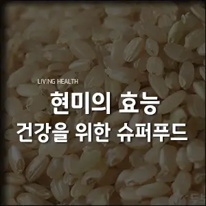  현미의 효능 건강을 위한 슈퍼푸드