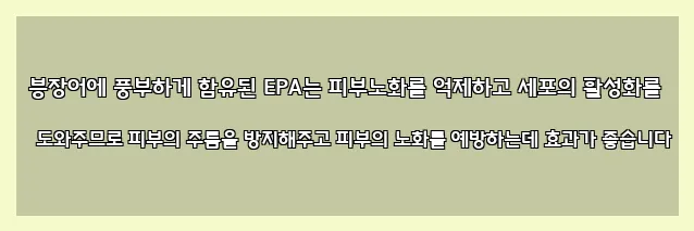  붕장어에 풍부하게 함유된 EPA는 피부노화를 억제하고 세포의 활성화를 도와주므로 피부의 주름을 방지해주고 피부의 노화를 예방하는데 효과가 좋습니다