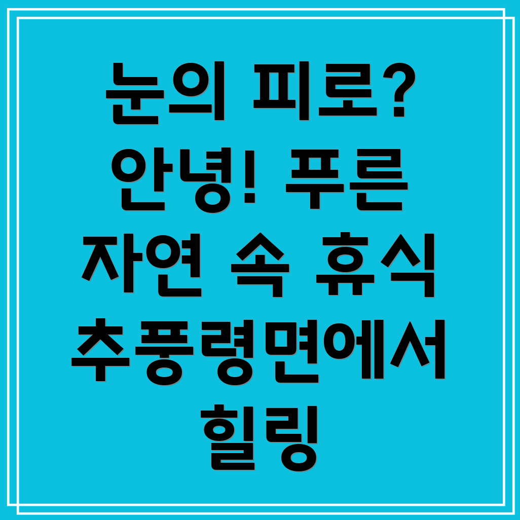 눈의 피로