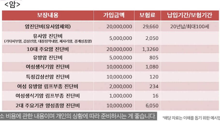  의사 관점 본 최소의 금액 기준 필수 보험과 빼도 되는 항목