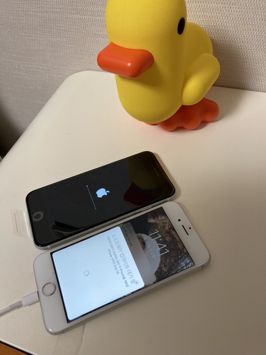 구매후기! 집에서 공기계 유심 개통! 쿠팡 자급자습제 스마트폰 아이폰SE2 19