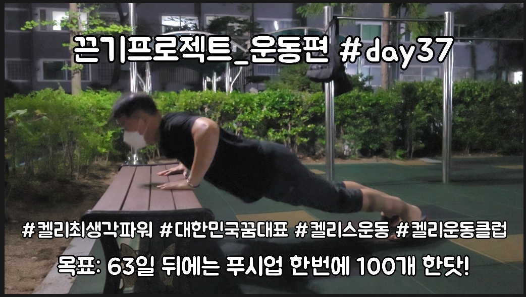  켈리최 회장님과 함께하는 끈기프로젝트 운동편 day37