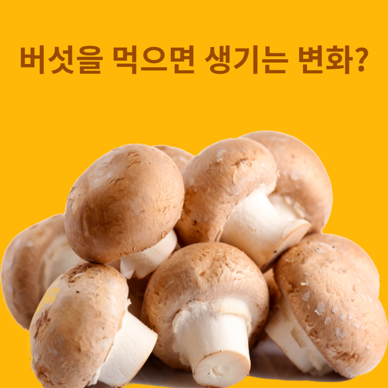  버섯을 먹으면 생기는 변화?
