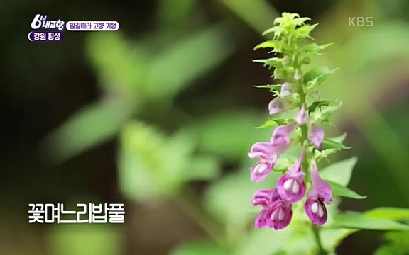 220815_발길따라 고향 기행.ts_20220823_180755.596.jpg