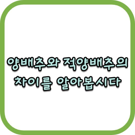  양배추와 적양배추의 차이를 알아봅시다