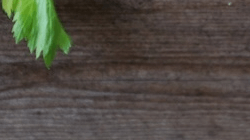 Tile 14