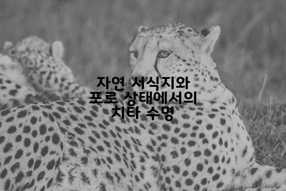 자연 서식지와 포로 상태에서의 치타 수명