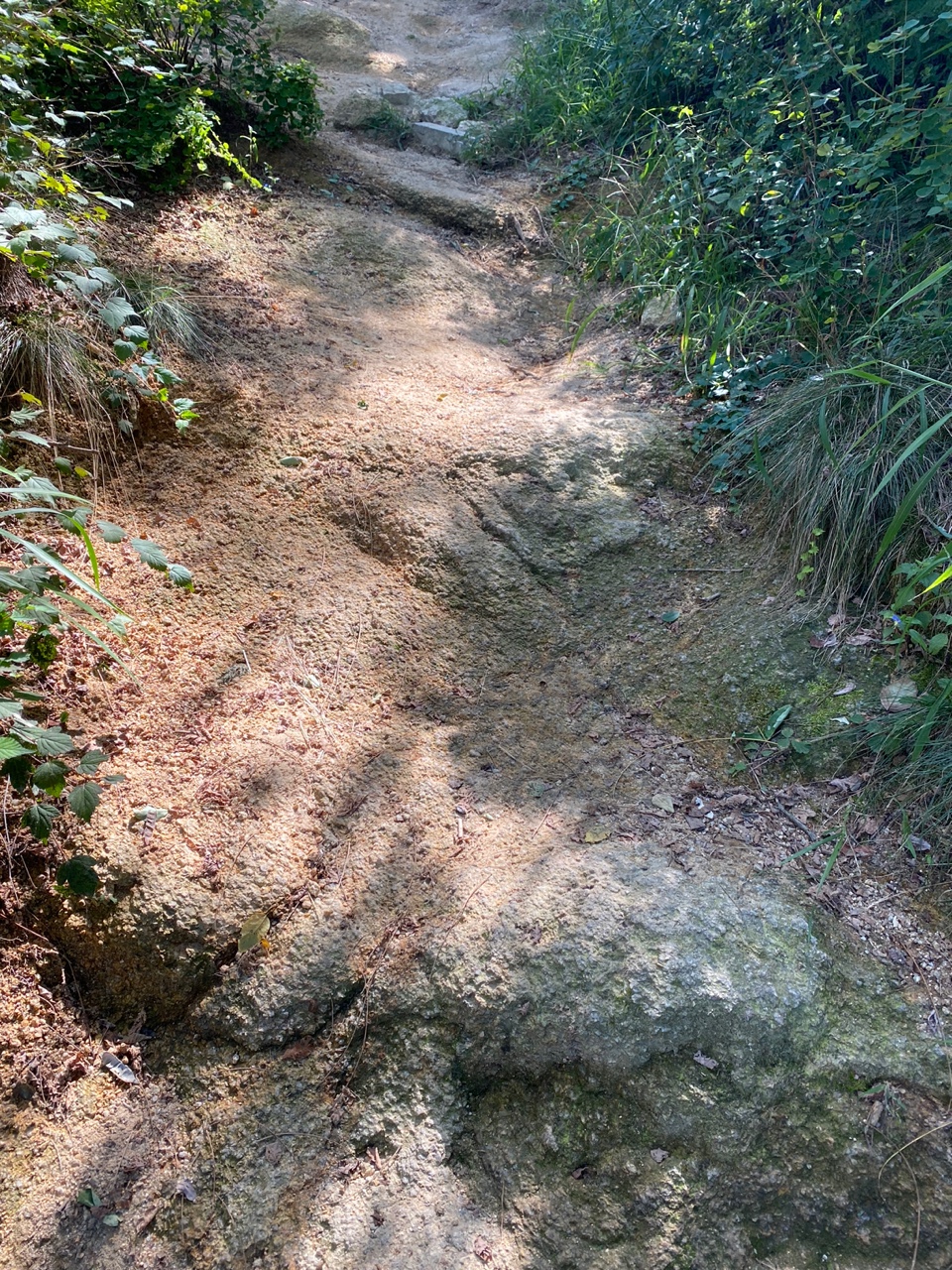 안산 경사길 등산화