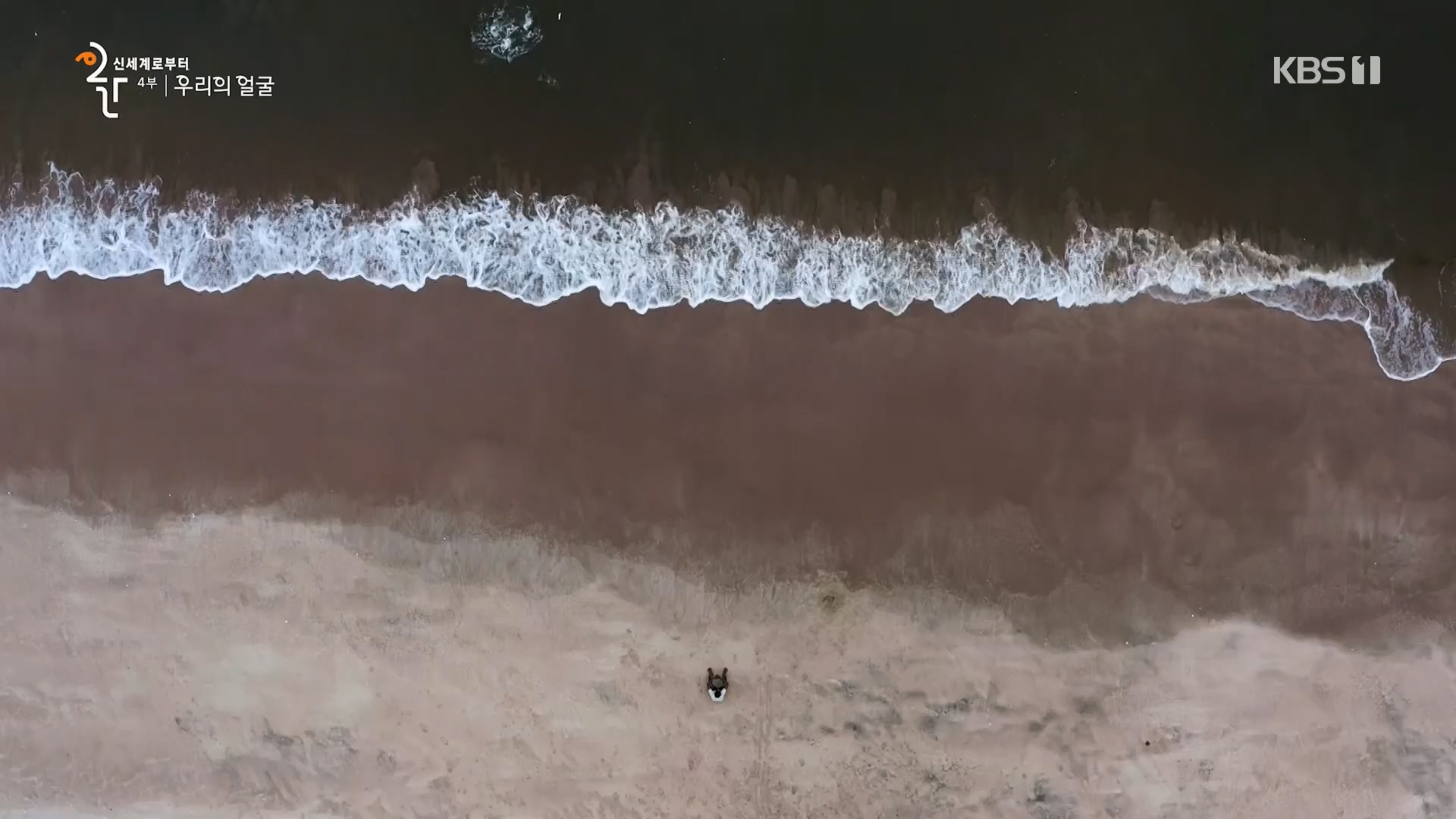 다큐 인사이트.E173.231130p.H264-F1RST.mp4_20231201_205340.822.jpg