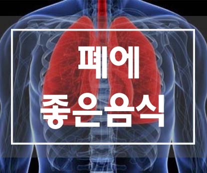  폐기능에 도움이 되는 음식
