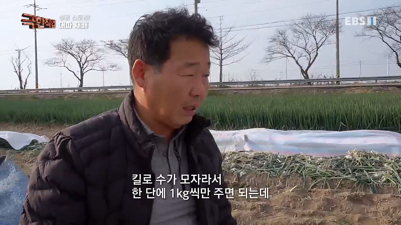 TV - 교육의 중심 EBS성공 스토리! 쪽파 재배와 과일 도매.mp4_20221209_203559.432.jpg