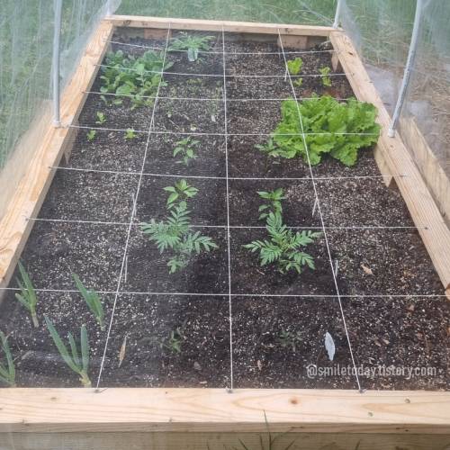 example of square foot gardening