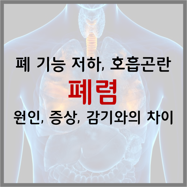  폐렴 원인 유형(종류) 증상 치료 방법 총 정리