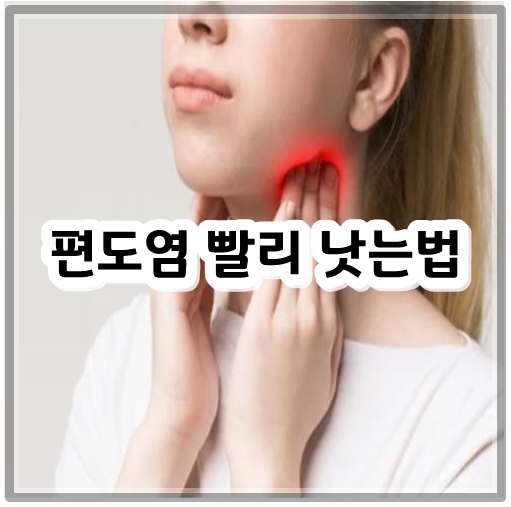 편도염 빨리 낫는법 7가지