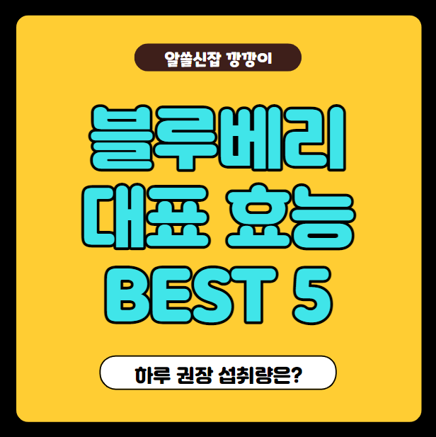  블루베리 대표 효능 5가지, BEST 5 와 하루 권장 섭취량