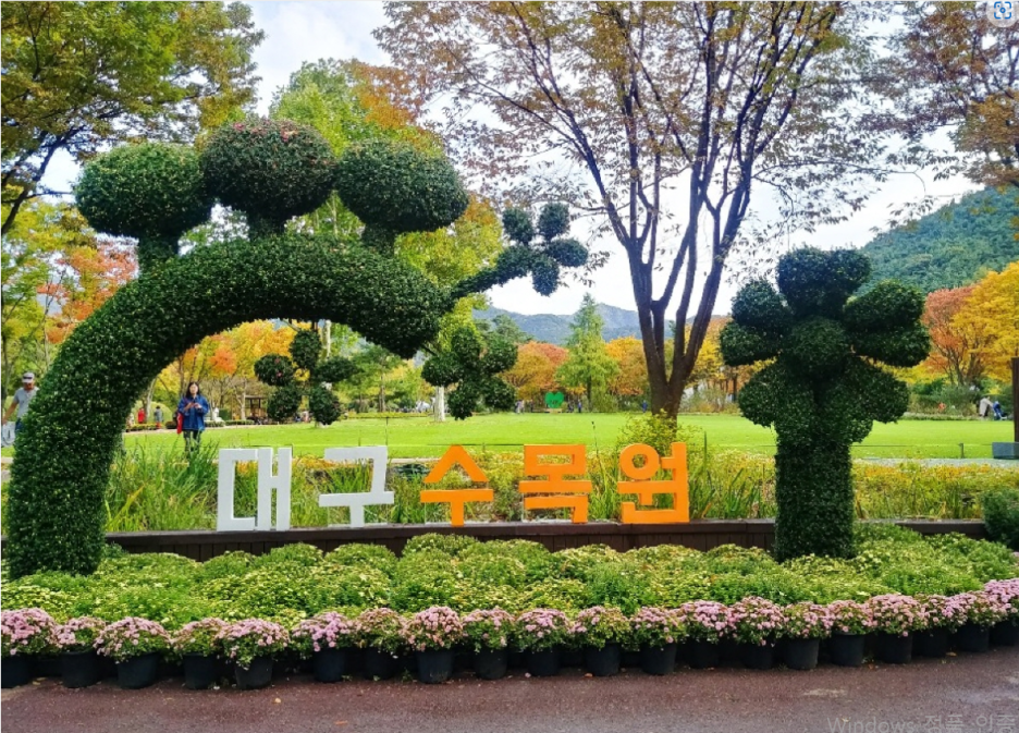 대구가볼만한곳-대구수목원2023국화전시회
