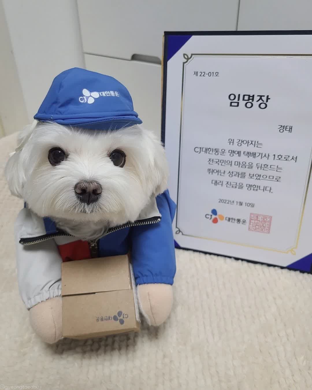  경태 대리 진급 & 태희 명예 택배기사 2호 임명