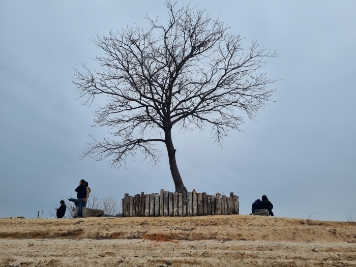 홀로섬