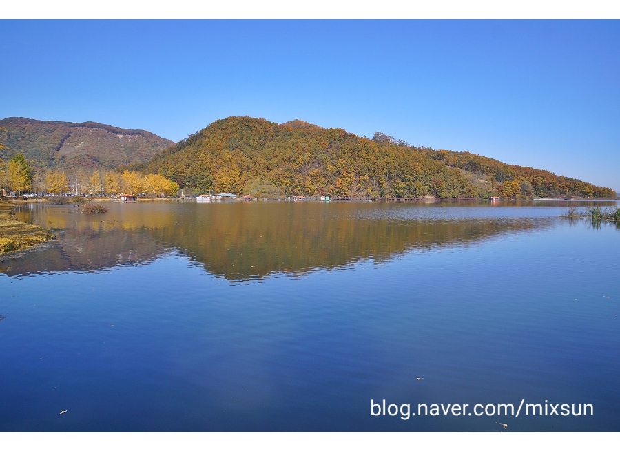 단풍구경 가볼만한 곳 괴산 가볼만한곳 22