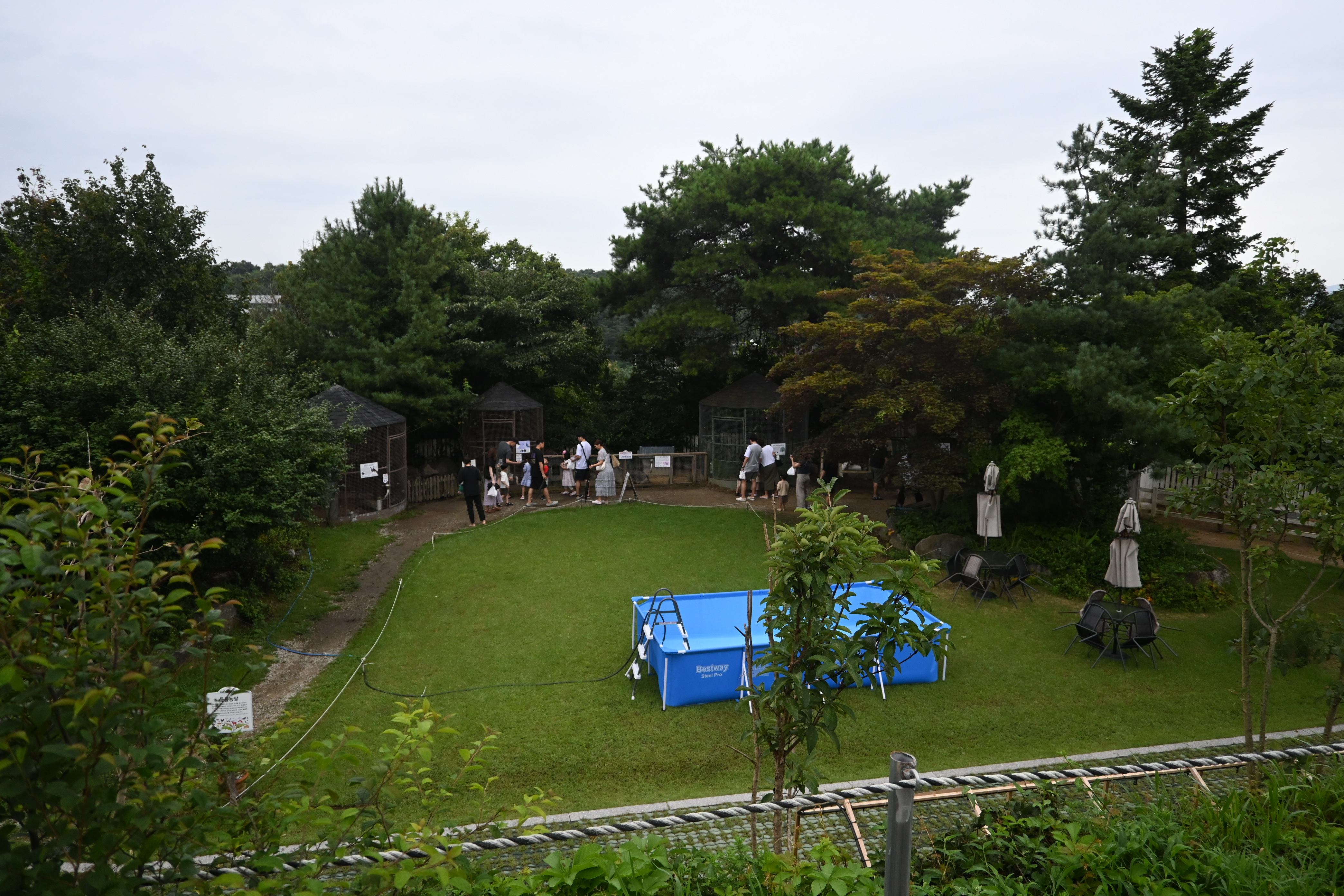 용인 곤충테마파크 동물과 곤충 다양한 체험 가능한곳 사진 29