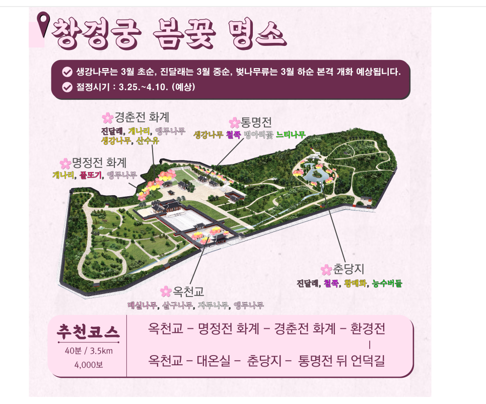 창경궁-봄꽃지도-2024년.jpg