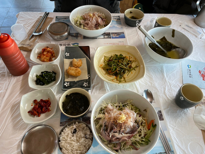 -영진해변,영진횟집,바우카페, 파인힐 애견펜션,속초중앙시장 설연휴 분홍이와의 여행 10