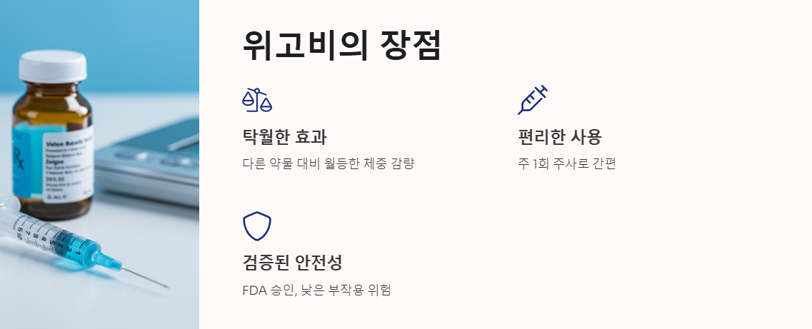 위고비의 장점