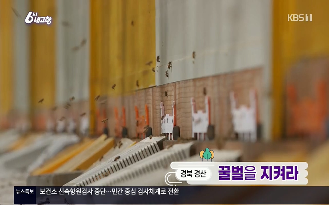 6시 내고향.E7508.220412p.H264-F1RST.mp4_20220417_192500.508.jpg