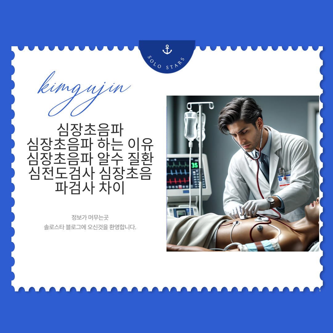 심장초음파 그림