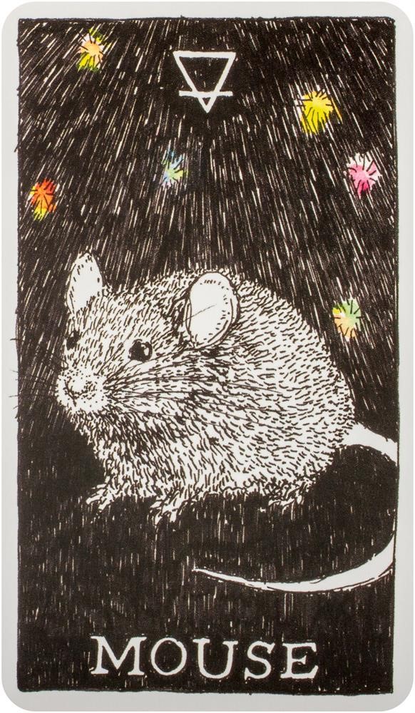  [오라클카드배우기/와일드언노운애니멀스피릿]The Wild Unknown Animal Spirit Mouse 쥐 해석 및 의미