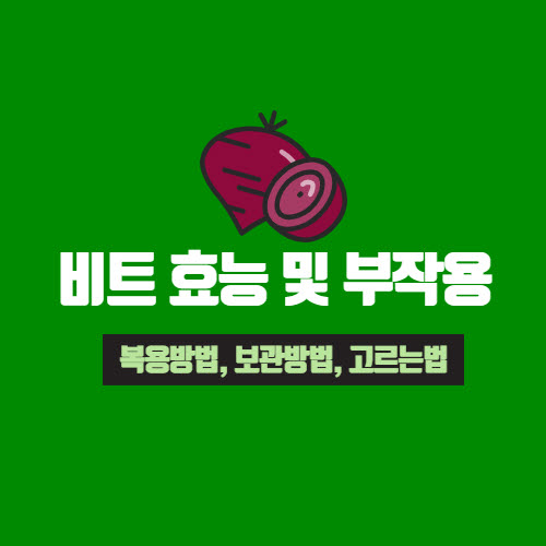  비트 효능 및 부작용(복용방법, 보관방법, 고르는법)