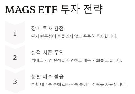 MAGS ETF
