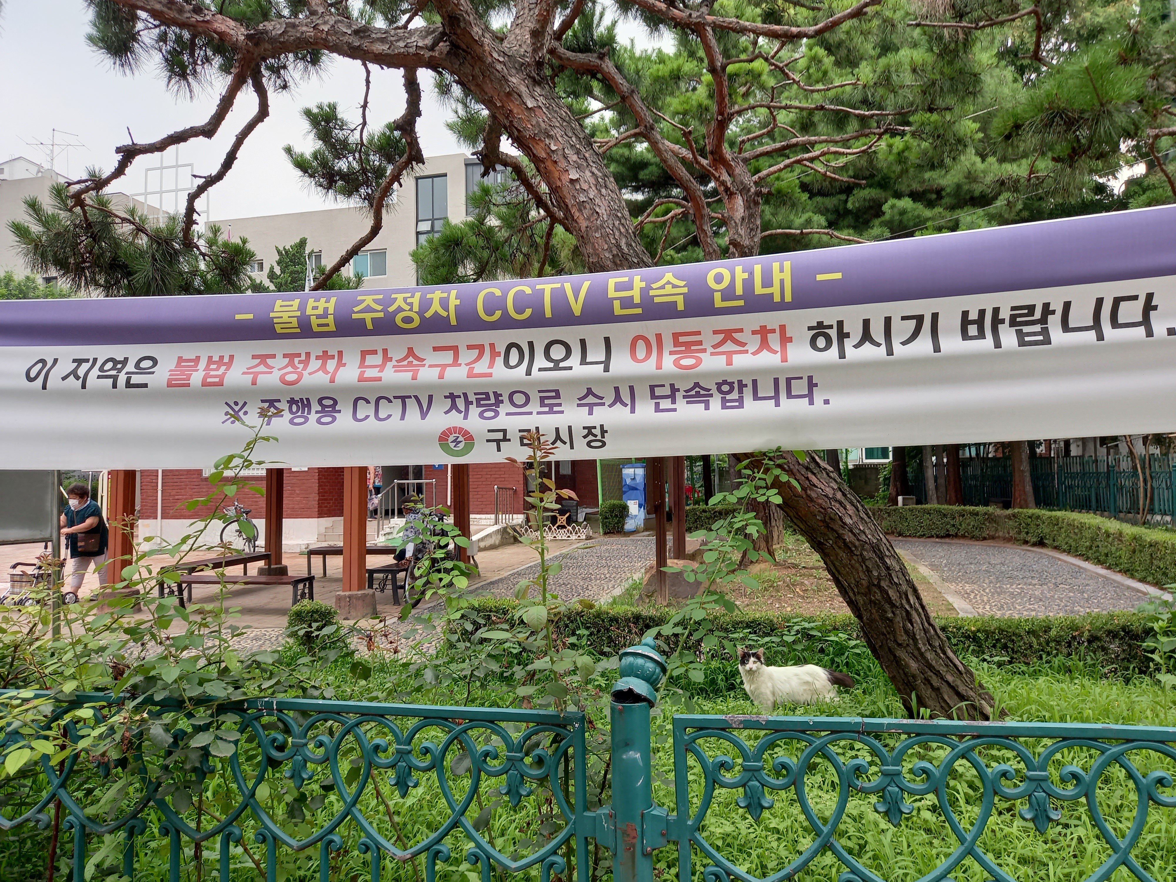  작년 여름에 찍은 구리시 새마을공원 사진입니다.