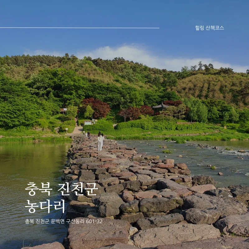  [충북 가볼만한곳/진천 필수 관광코스] 농다리_산책코스(미르숲, 초롱길, 농암정, 하늘다리)