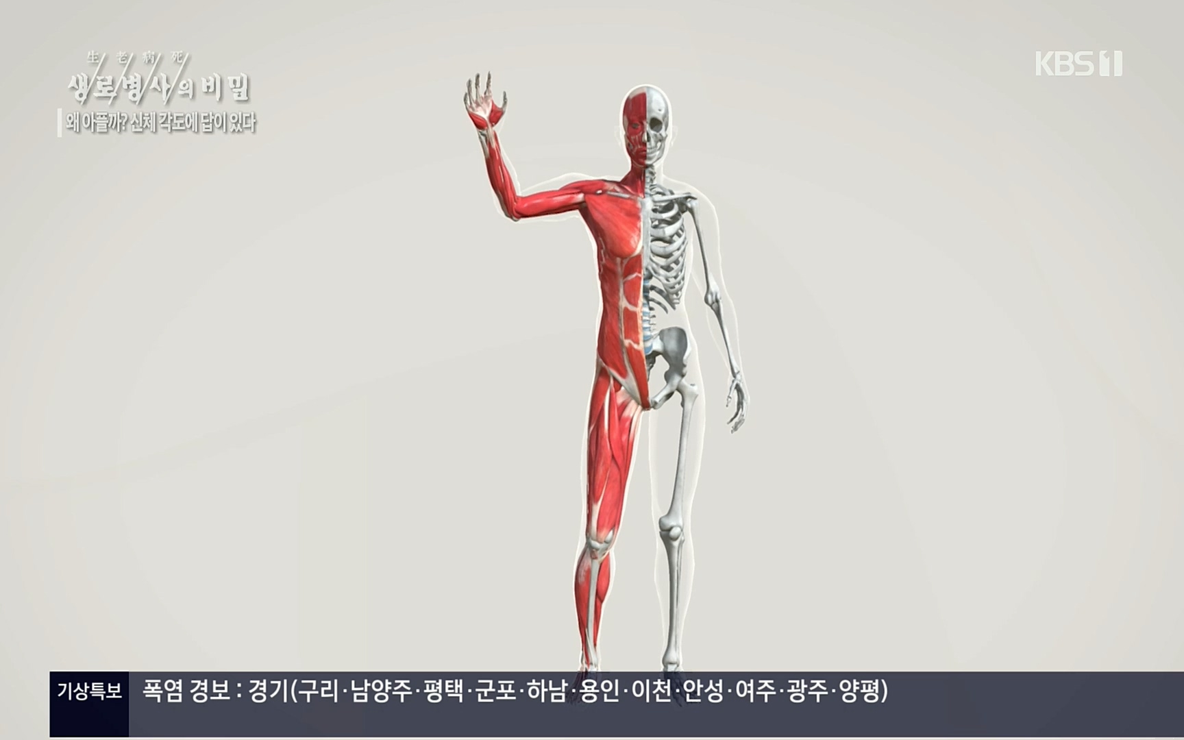 생로병사의 비밀.E825.220706p.H264-F1RST.mp4_20220707_185752.258.jpg