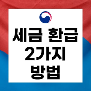 국세환급금