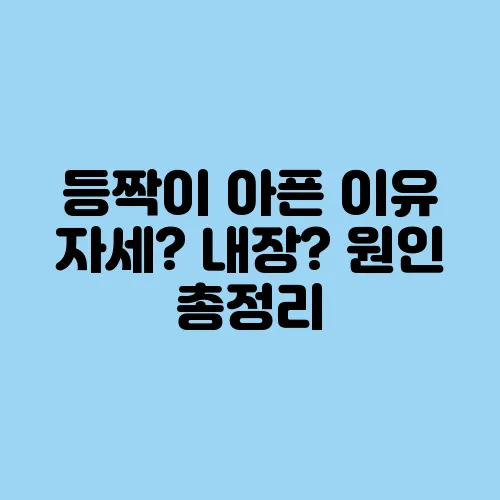 등짝이 아픈 이유 자세? 내장? 원인 총정리