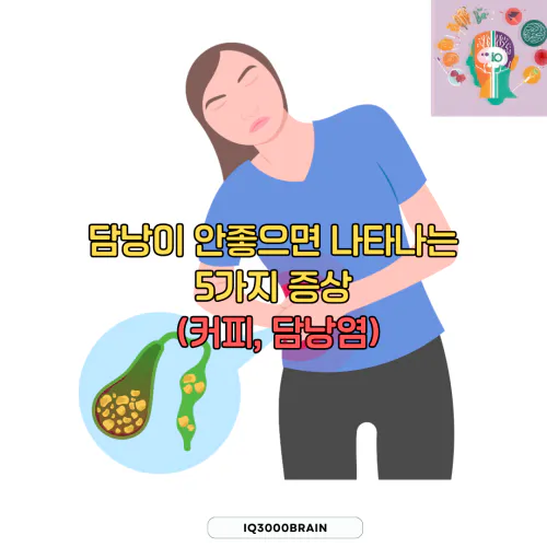 담낭이 안좋으면 나타나는 증상 알아보기