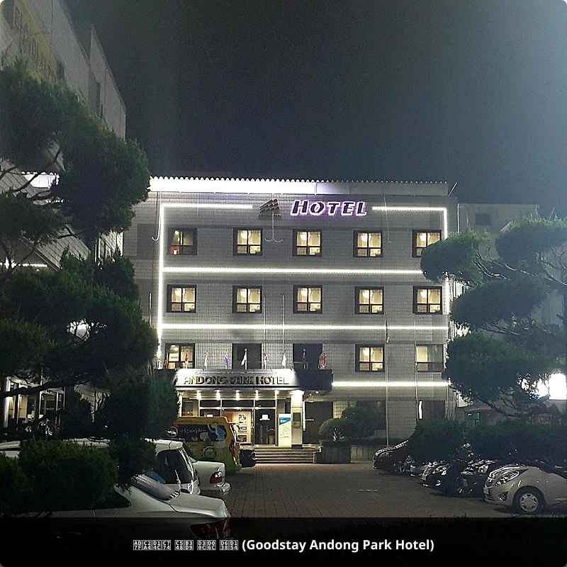 굿스테이 안동 파크 호텔 (Goodstay Andong Park Hotel)_1