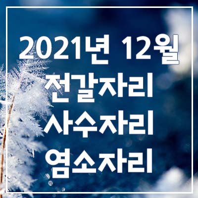  (전갈자리, 사수자리, 염소자리) 2021년 12월 은하별의 별자리 운세