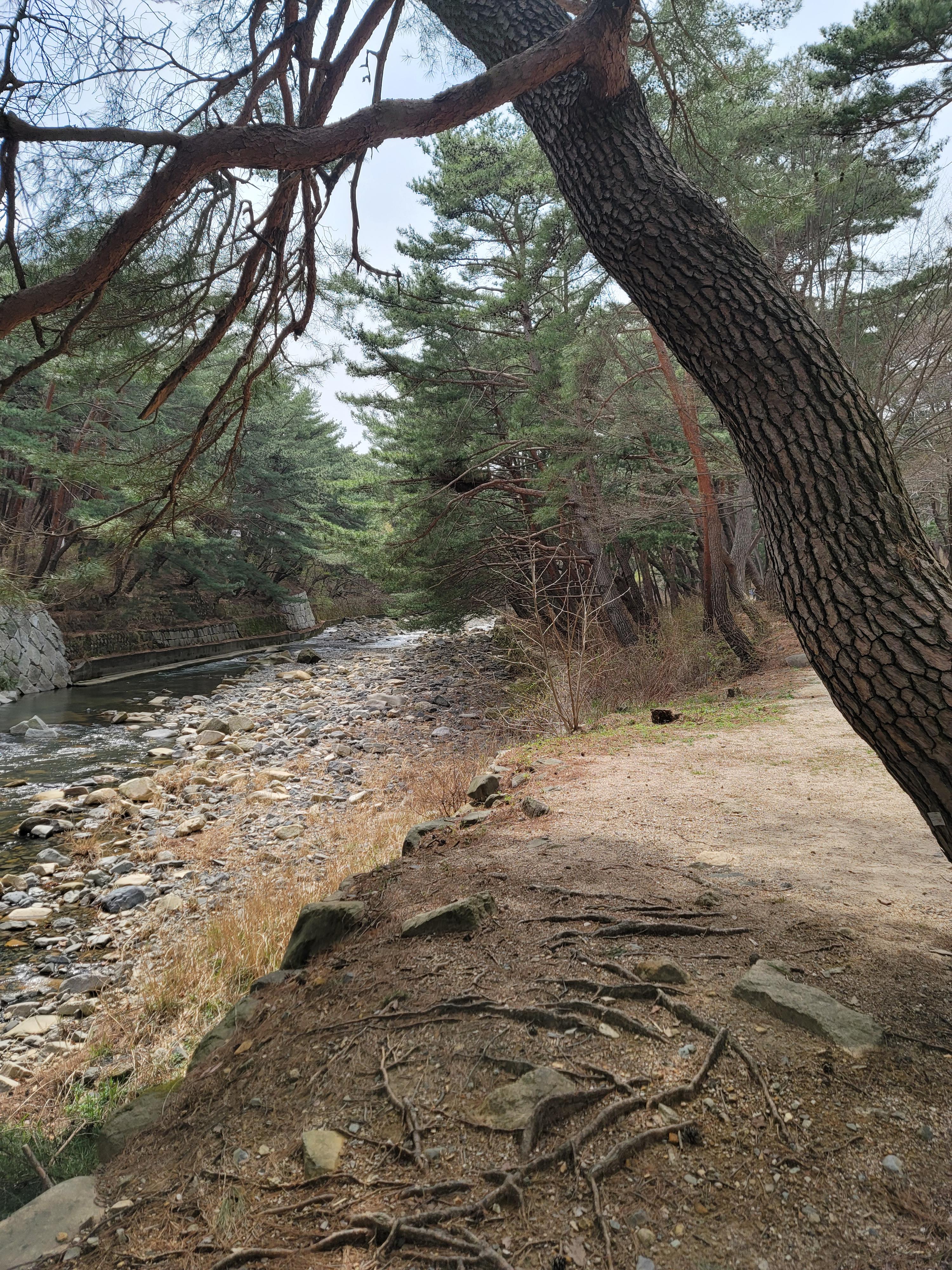 통도사