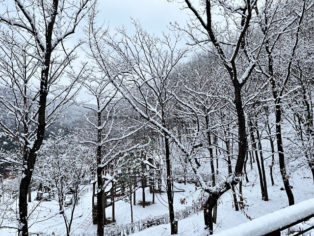 의령-자굴산-아침눈