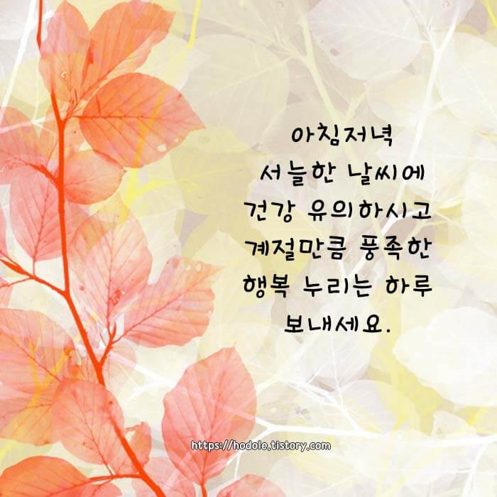아침인사 문자