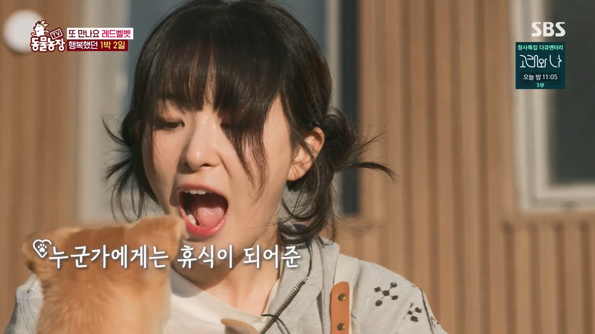 TV 동물농장.E1148.231203p.H264-F1RST.mp4_20231203_181446.294.jpg