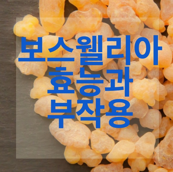 썸네일 사진