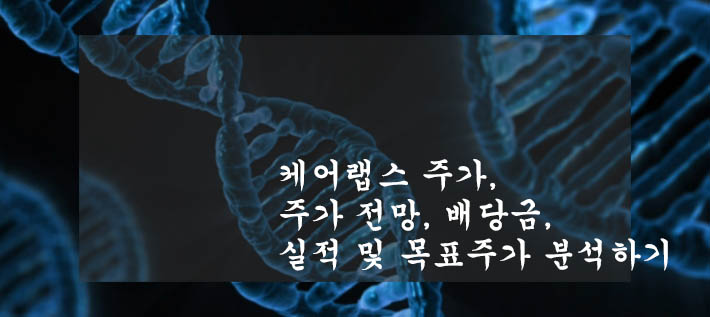  케어랩스 주가, 주가 전망, 배당금, 실적 및 목표주가 분석하기