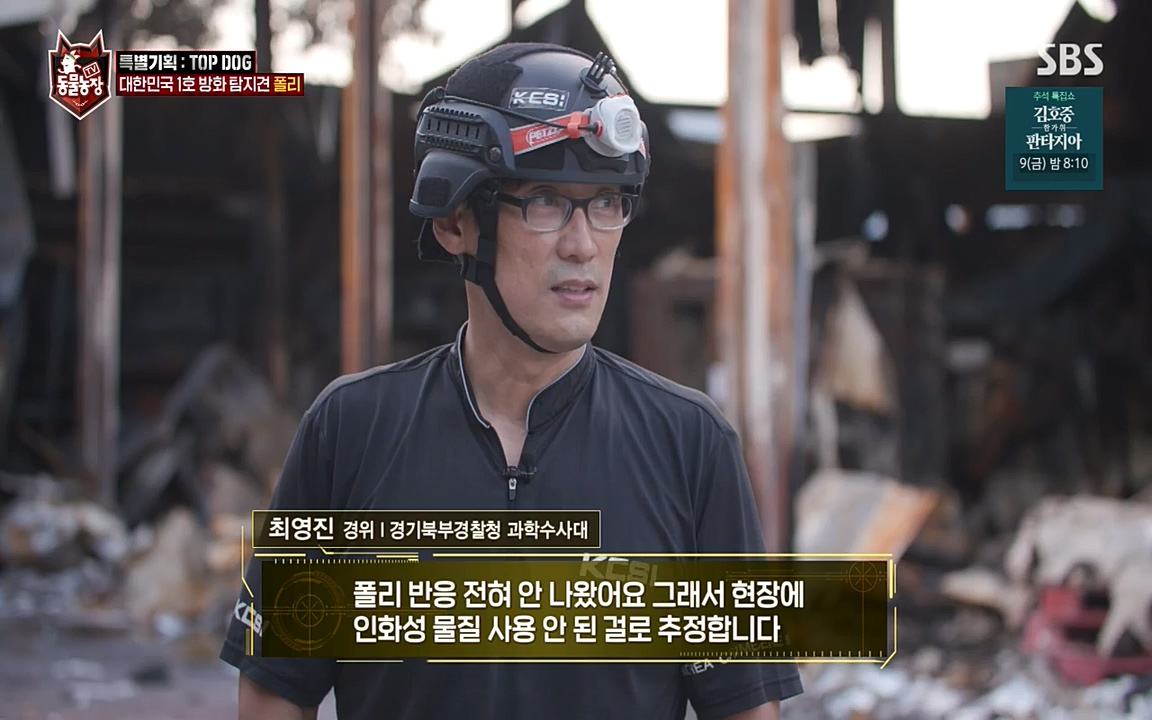 TV 동물농장.E1085.220905p-NEXT.mp4_20220904_173550.868.jpg